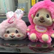 ヒメ日記 2025/11/27 15:12 投稿 樹 出会い系人妻ネットワーク さいたま～大宮編