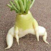 ヒメ日記 2025/12/22 08:42 投稿 樹 出会い系人妻ネットワーク さいたま～大宮編