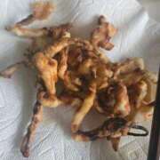 ヒメ日記 2026/02/18 09:33 投稿 ことは『ぽっちゃりコース』 素人学園＠