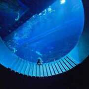 ヒメ日記 2026/03/09 12:03 投稿 ことは『ぽっちゃりコース』 素人学園＠