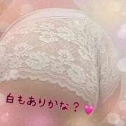 ヒメ日記 2025/11/26 09:08 投稿 まみ 熟女の風俗最終章 沼津店