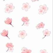 ヒメ日記 2025/12/18 17:26 投稿 さくら あふたーすくーる本店