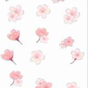 ヒメ日記 2025/12/24 16:40 投稿 さくら あふたーすくーる本店