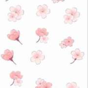 ヒメ日記 2026/01/08 17:08 投稿 さくら あふたーすくーる本店