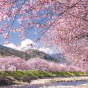 河本渚 お礼です 五十路マダム静岡店（カサブランカG）