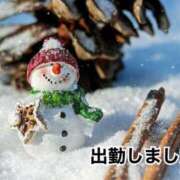 ヒメ日記 2025/12/08 14:33 投稿 あざみ 尼妻（あまづま）