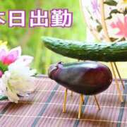 ヒメ日記 2026/08/12 07:48 投稿 あざみ 尼妻（あまづま）
