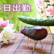 ヒメ日記 2026/08/14 07:38 投稿 あざみ 尼妻（あまづま）