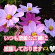 ヒメ日記 2026/09/21 19:12 投稿 あざみ 尼妻（あまづま）