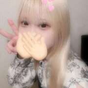 ヒメ日記 2026/02/11 10:07 投稿 まり 櫻女学院