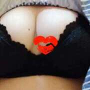 ヒメ日記 2025/12/17 07:16 投稿 雪 新潟市鳥屋野潟ちゃんこ