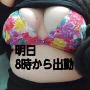 ヒメ日記 2025/12/20 15:16 投稿 雪 新潟市鳥屋野潟ちゃんこ