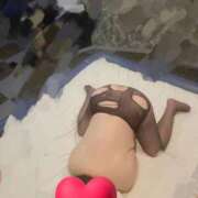 ヒメ日記 2025/12/24 09:16 投稿 雪 新潟市鳥屋野潟ちゃんこ