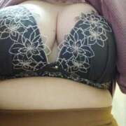 ヒメ日記 2026/01/09 06:46 投稿 雪 新潟市鳥屋野潟ちゃんこ