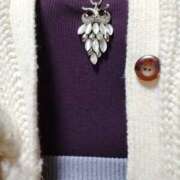 ヒメ日記 2026/01/26 09:16 投稿 雪 新潟市鳥屋野潟ちゃんこ