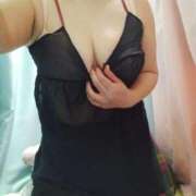 ヒメ日記 2026/01/31 06:24 投稿 雪 新潟市鳥屋野潟ちゃんこ