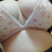 ヒメ日記 2026/02/13 07:36 投稿 雪 新潟市鳥屋野潟ちゃんこ