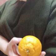 ヒメ日記 2026/02/20 00:23 投稿 雪 新潟市鳥屋野潟ちゃんこ