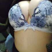 ヒメ日記 2026/02/20 12:26 投稿 雪 新潟市鳥屋野潟ちゃんこ