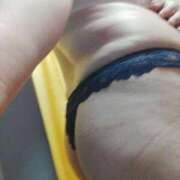 ヒメ日記 2026/02/20 13:26 投稿 雪 新潟市鳥屋野潟ちゃんこ