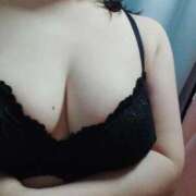 ヒメ日記 2026/02/21 12:17 投稿 雪 新潟市鳥屋野潟ちゃんこ