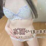 ヒメ日記 2025/12/15 14:17 投稿 のあ 半熟ばなな 品川