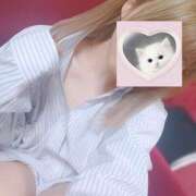 ヒメ日記 2025/11/23 13:12 投稿 れい 桜フェアリーテイル