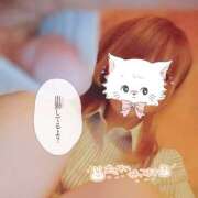 ヒメ日記 2025/12/06 19:10 投稿 れい 桜フェアリーテイル