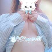 れい 来ましたわ🎀 桜フェアリーテイル