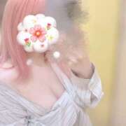 ヒメ日記 2025/12/29 12:14 投稿 れい 桜フェアリーテイル