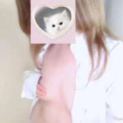 ヒメ日記 2026/04/14 09:21 投稿 れい 桜フェアリーテイル