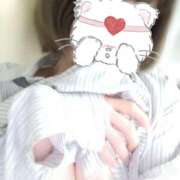 ヒメ日記 2026/04/27 12:31 投稿 れい 桜フェアリーテイル