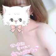 ヒメ日記 2026/04/29 11:31 投稿 れい 桜フェアリーテイル