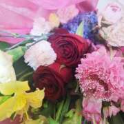 ヒメ日記 2026/06/06 12:23 投稿 れい 桜フェアリーテイル