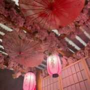 ヒメ日記 2026/03/03 13:19 投稿 すい♡イチャイチャ好きMっ子♡ ぴゅあぱい熊本♡ぽちゃかわ巨乳専門♡誠実すぎる風俗♡返金保証店♡