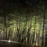 ヒメ日記 2026/03/15 15:59 投稿 すい♡イチャイチャ好きMっ子♡ ぴゅあぱい熊本♡ぽちゃかわ巨乳専門♡誠実すぎる風俗♡返金保証店♡