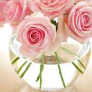 ヒメ日記 2025/11/25 21:08 投稿 中条 静香 名古屋貴楼館