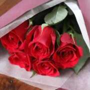 中条 静香 撮影しました🥰 名古屋貴楼館