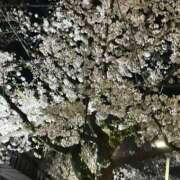 かのん 今日います😽 見学娘