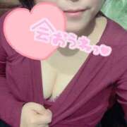 ヒメ日記 2026/02/14 15:27 投稿 はる clubさくら難波店