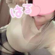 はる はる（clubさくら難波店） clubさくら難波店