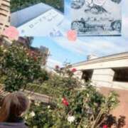 ローズ お休み明け、会えるの楽しみ? 谷町人妻ゴールデン倶楽部