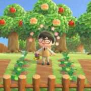 ヒメ日記 2026/01/03 16:30 投稿 なつき FAIRY Fukuoka Nakasu