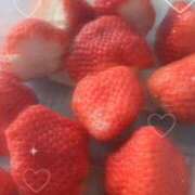 ヒメ日記 2026/03/11 08:20 投稿 なつき FAIRY Fukuoka Nakasu