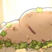 ヒメ日記 2026/03/20 13:27 投稿 なつき FAIRY Fukuoka Nakasu