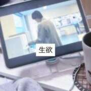 ヒメ日記 2026/04/05 15:41 投稿 なつき FAIRY Fukuoka Nakasu