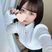 ヒメ日記 2025/11/24 15:02 投稿 ねむ Gossip girl