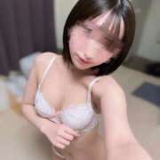 ヒメ日記 2026/02/19 18:03 投稿 ねむ Gossip girl