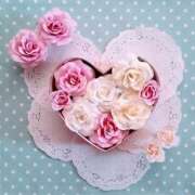 ヒメ日記 2025/12/14 13:01 投稿 ゆい 松本人妻隊