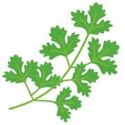 ヒメ日記 2025/11/30 16:35 投稿 ゆり 丸妻 新横浜店